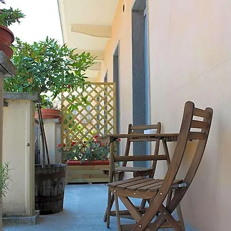 Il Grappolo D'oro