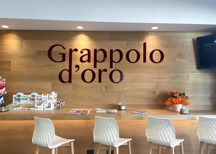ホテル Il Grappolo D'oro 3*